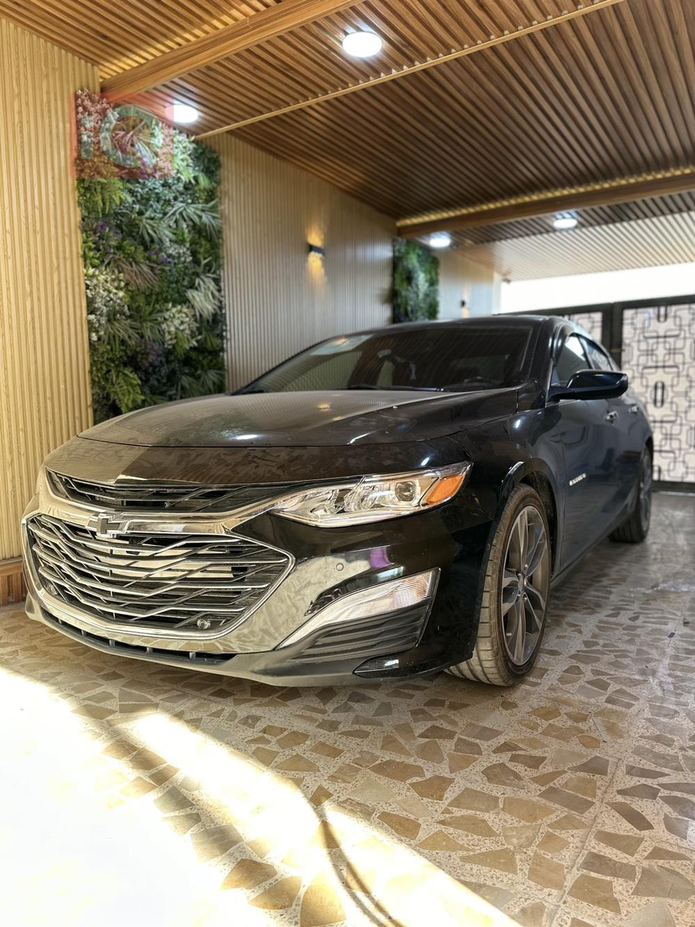 شيفروليه ماليبو